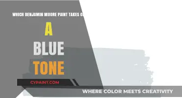 Benjamin Moore Paints with Subtle Blue Undertones: A Guide