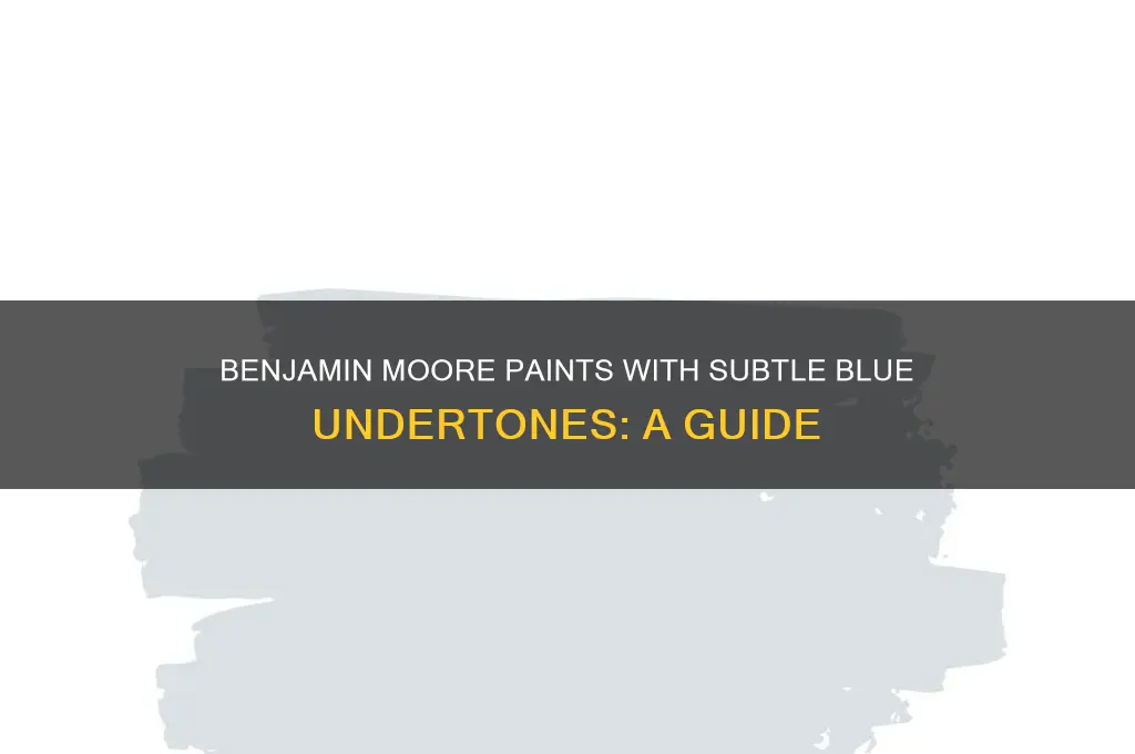 which benjamin moore paint takes on a blue tone