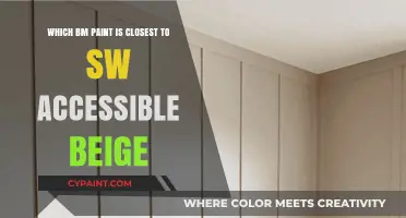 BM Paint Match: Closest Shade to SW Accessible Beige Revealed