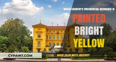 Bright Yellow Presidential Palace: Unveiling the Country Behind the Colorful Residence