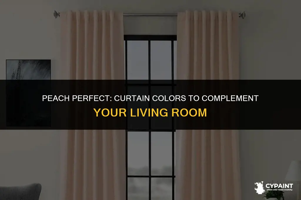 which curtain match for a living room paint in peach