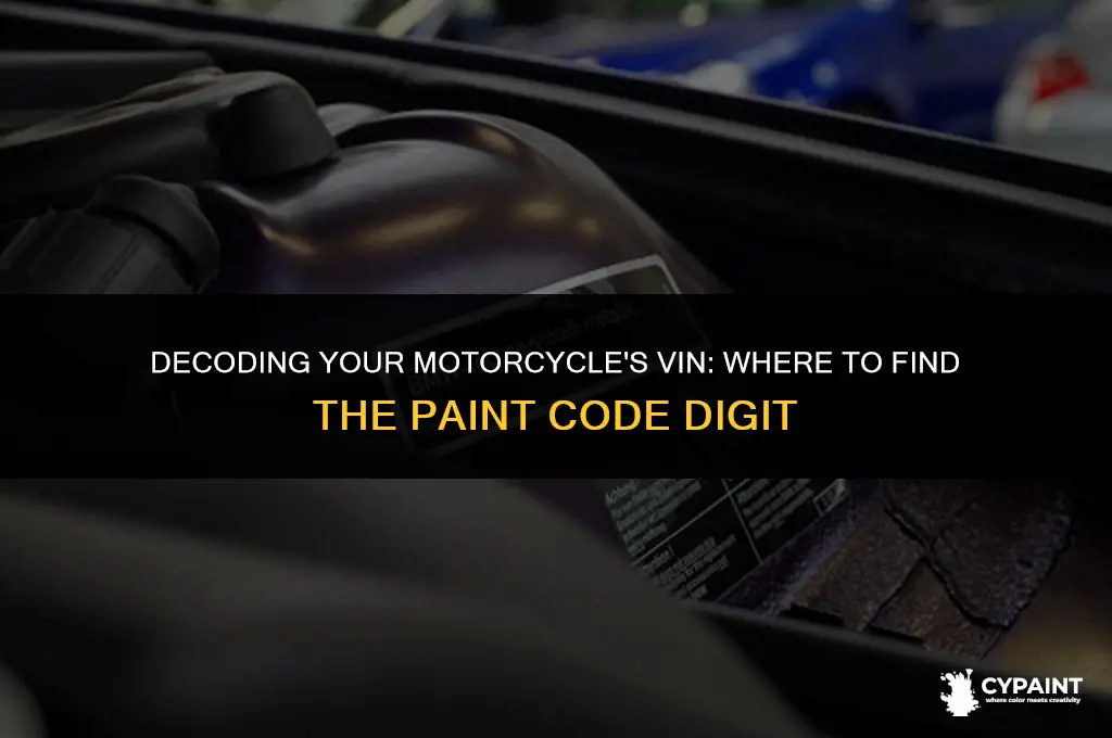 which digit in a motorcycle vin is the paint code