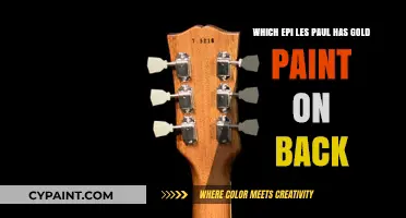 Unveiling the Gold-Painted Back of the Epi Les Paul