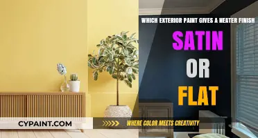 Satin vs Flat Paint: Achieving the Perfect Exterior Finish