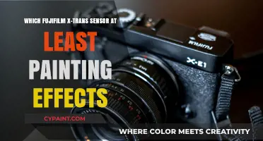 Fujifilm X-Trans Sensors: Unlocking Artistic Painting Effects in Photography