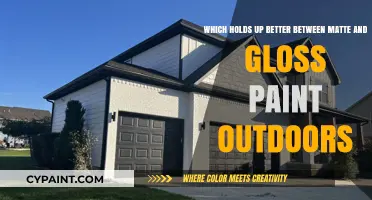 Outdoor Painting Dilemma: Matte vs Gloss - Which Finish Prevails?