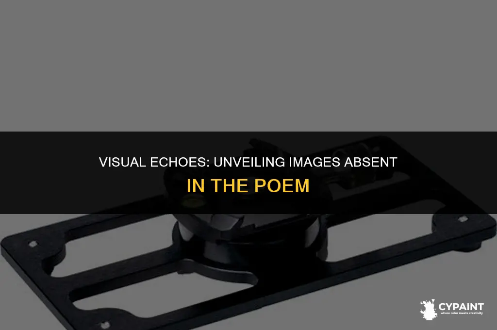which image appears in the painting but not the poem