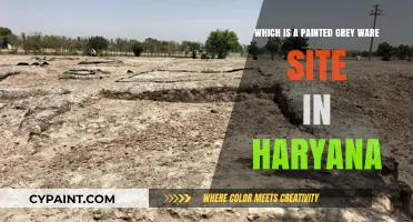 Exploring Haryana's Painted Grey Ware Site: A Historical Discovery