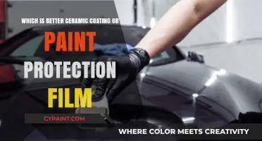 Ceramic Coating vs. Paint Protection Film: Which Shields Your Car Best?