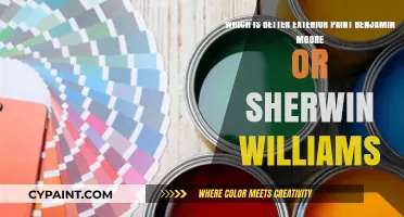 Unveiling the Best Exterior Paint: Benjamin Moore vs. Sherwin-Williams Showdown