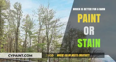 Paint vs. Stain: Choosing the Best Finish for Your Barn