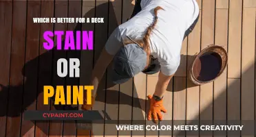 Deck Stain vs. Paint: Which Finish Lasts Longer and Looks Better?