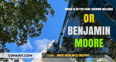 Sherwin Williams vs Benjamin Moore: Which Paint is Superior?