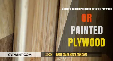 Pressure Treated vs. Painted Plywood: Which Option Lasts Longer?