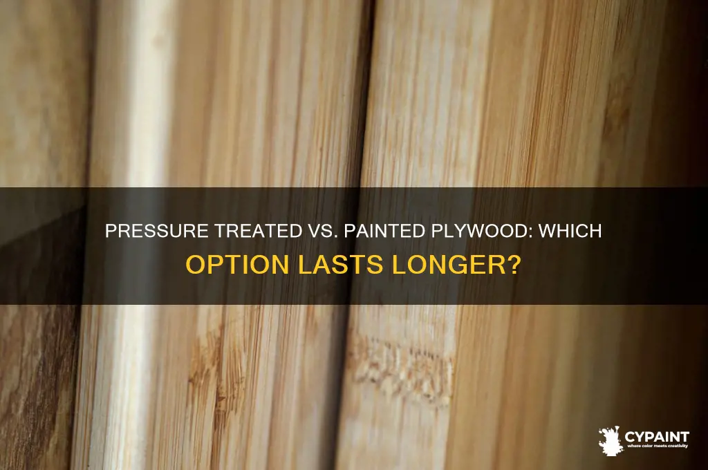 which is better pressure treated plywood or painted plywood