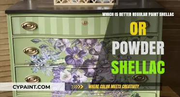 Regular Paint vs. Shellac: Which Finish Reigns Supreme?