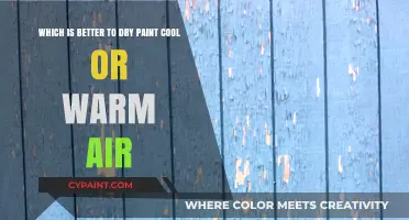 Cool vs. Warm Air: The Optimal Choice for Dry Paint