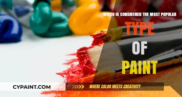 Discovering the Most Popular Paint Type for Modern Homes and Artists