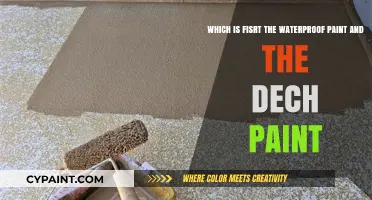 Decoding the Debate: Waterproof vs. Deck Paint - Which Reigns Supreme?