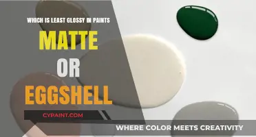 Matte vs. Eggshell Paint: Which Finish Offers the Least Gloss?