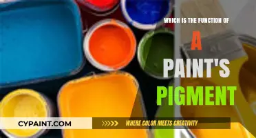Understanding the Role of Pigments in Paint Functionality