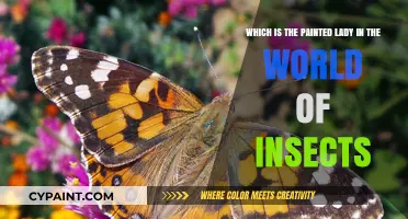 The Artful Deception: Unveiling the Painted Lady of Insects