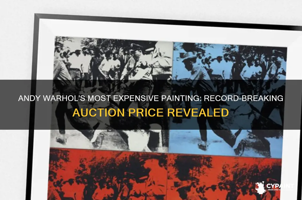 which is the top price for andy warhol paint