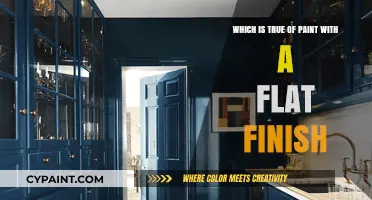 Flat Finish Paint: Characteristics, Benefits, and Best Uses Explained
