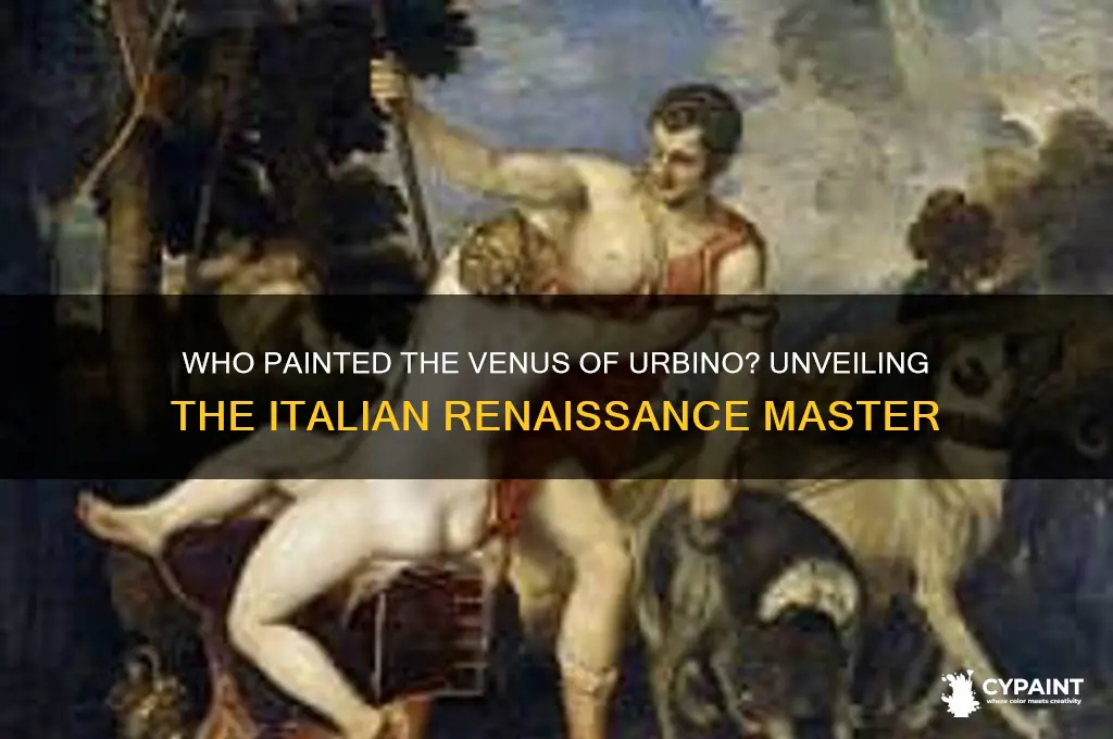 which italian renaissance artist painted the venus of urbino