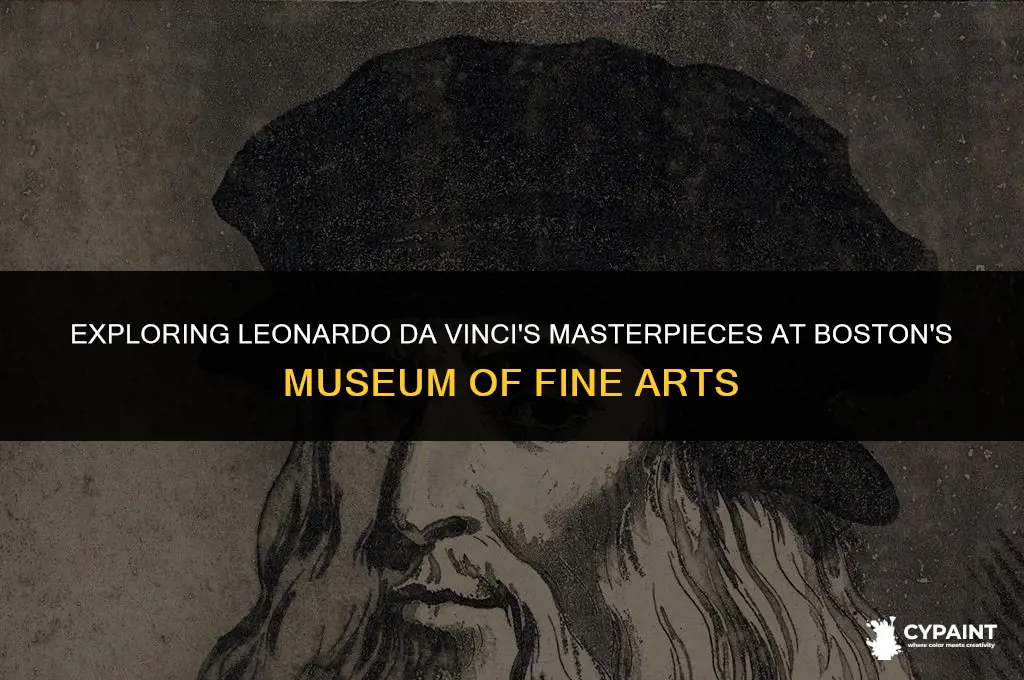 which leonardo da vinci painting boston museum of fine arts