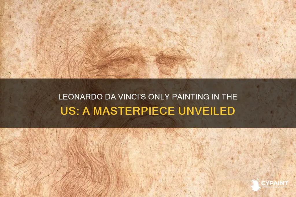 which leonardo da vinci painting is in the us
