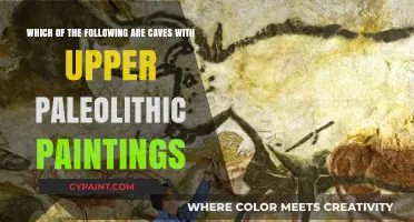 Exploring Ancient Art: Caves with Upper Paleolithic Paintings