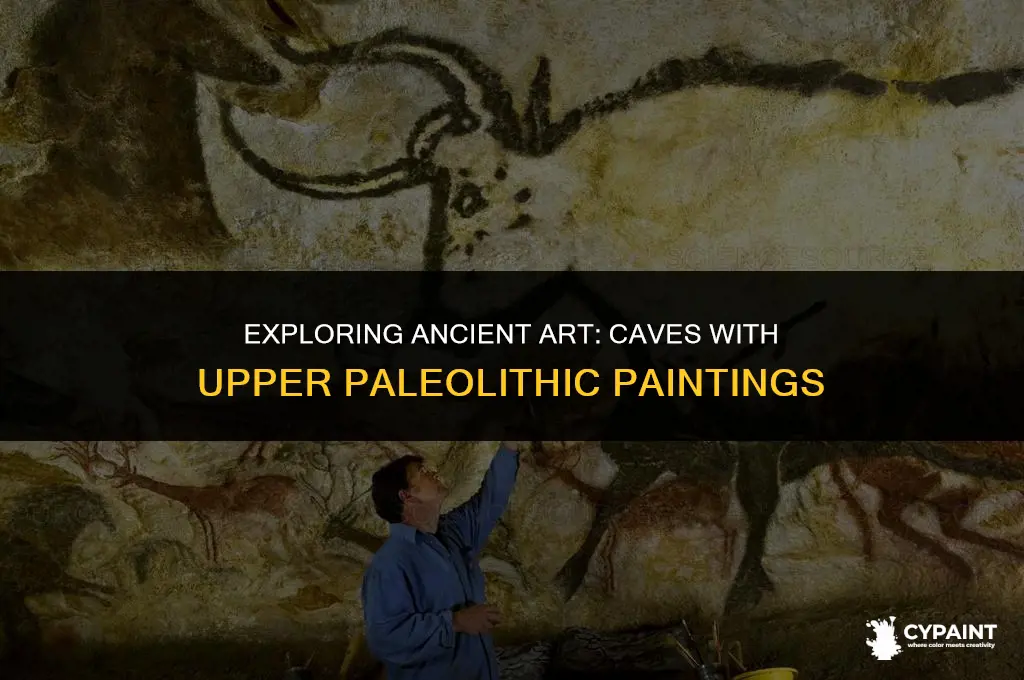 which of the following are caves with upper paleolithic paintings