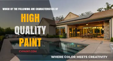 Unveiling the Traits of Premium Paint: A Comprehensive Guide