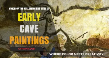 Exploring the Ancient Canvas: Sites of Early Cave Paintings