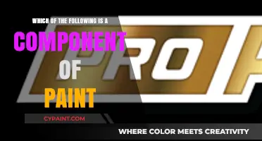 Understanding Paint Composition: Key Components Explained in Detail