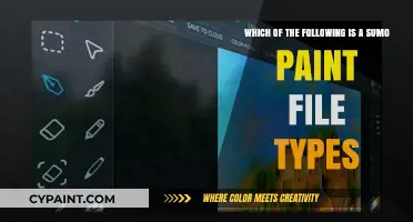 Exploring Sumo Paint File Types: A Comprehensive Guide