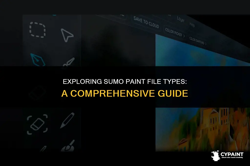 which of the following is a sumo paint file types