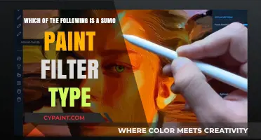 Exploring Sumo Paint Filters: A Comprehensive Guide to Types and Uses