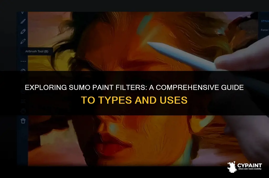 which of the following is a sumo paint filter type