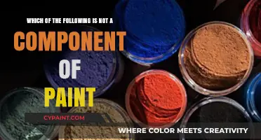 Decoding the Essentials: What's Not in Your Paint?