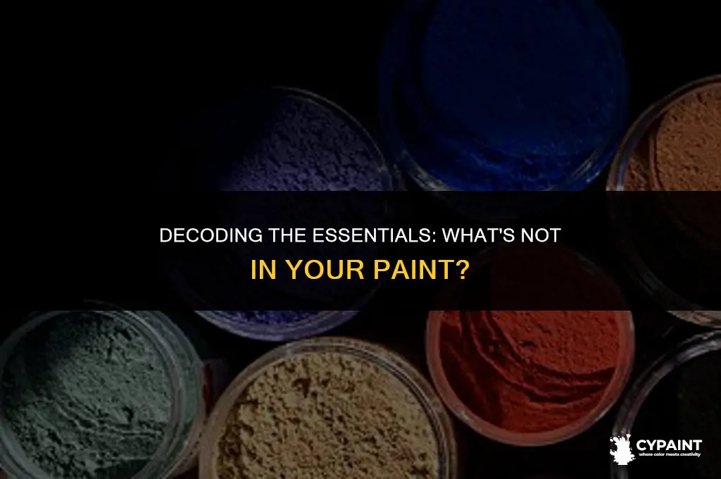 which of the following is not a component of paint