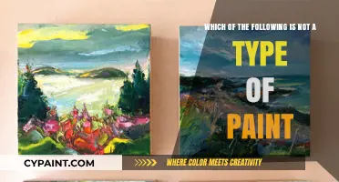 Exploring the World of Paints: One Type Left Behind