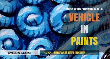 Exploring the Odd One Out: Non-Vehicle Elements in Paints