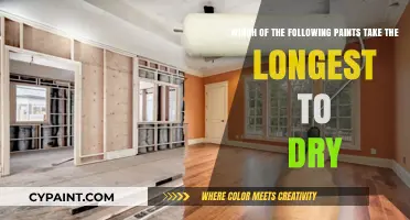 Unveiling the Drying Times: A Comprehensive Guide to Paints
