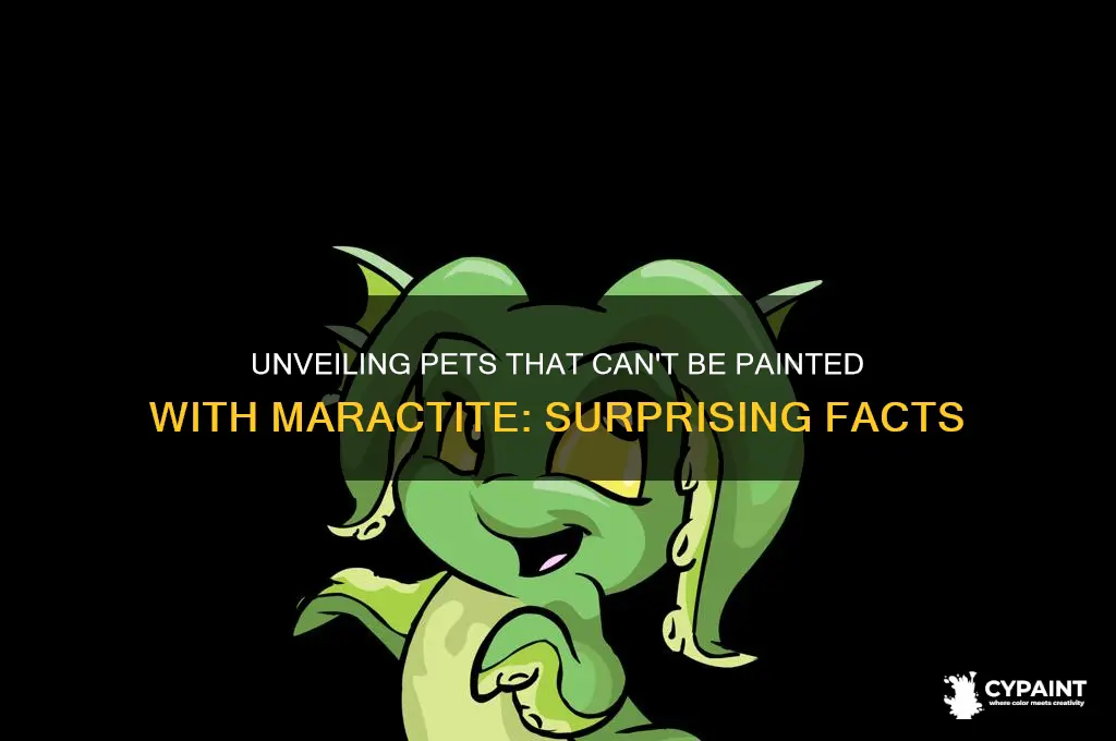 which of the following pet cannot be painted maractite
