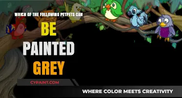 Discover Which Petpets Can Be Painted Grey in Neopia
