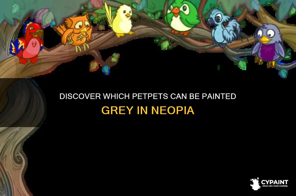 which of the following petpets can be painted grey