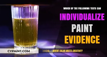 Unveiling Paint Evidence: Tests to Identify Unique Paint Samples