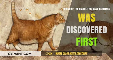 Unveiling History: The First Discovered Paleolithic Cave Painting Revealed